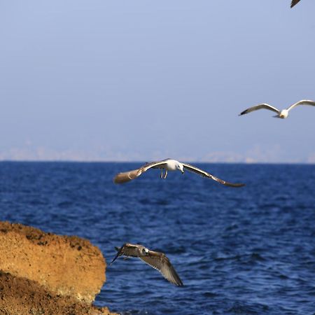Amara Dos Lägenhet Martigues Exteriör bild